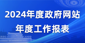 2024年度政府網(wǎng)站年度工作報(bào)表